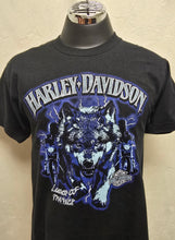 Load image into Gallery viewer, Battlefield Harley-Davidson® Leader of the Pack   3002456-BLCK